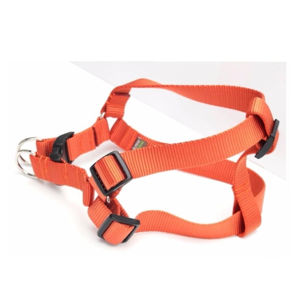 Set of 2 Adjustable Step In Nylon Small Dog Breed Harness with Buckle Closure - Picture 2 of 16